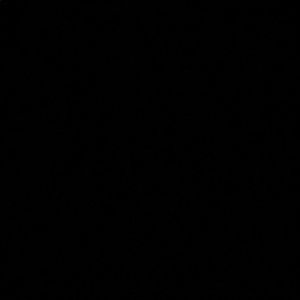 Meet your Posher, Katy